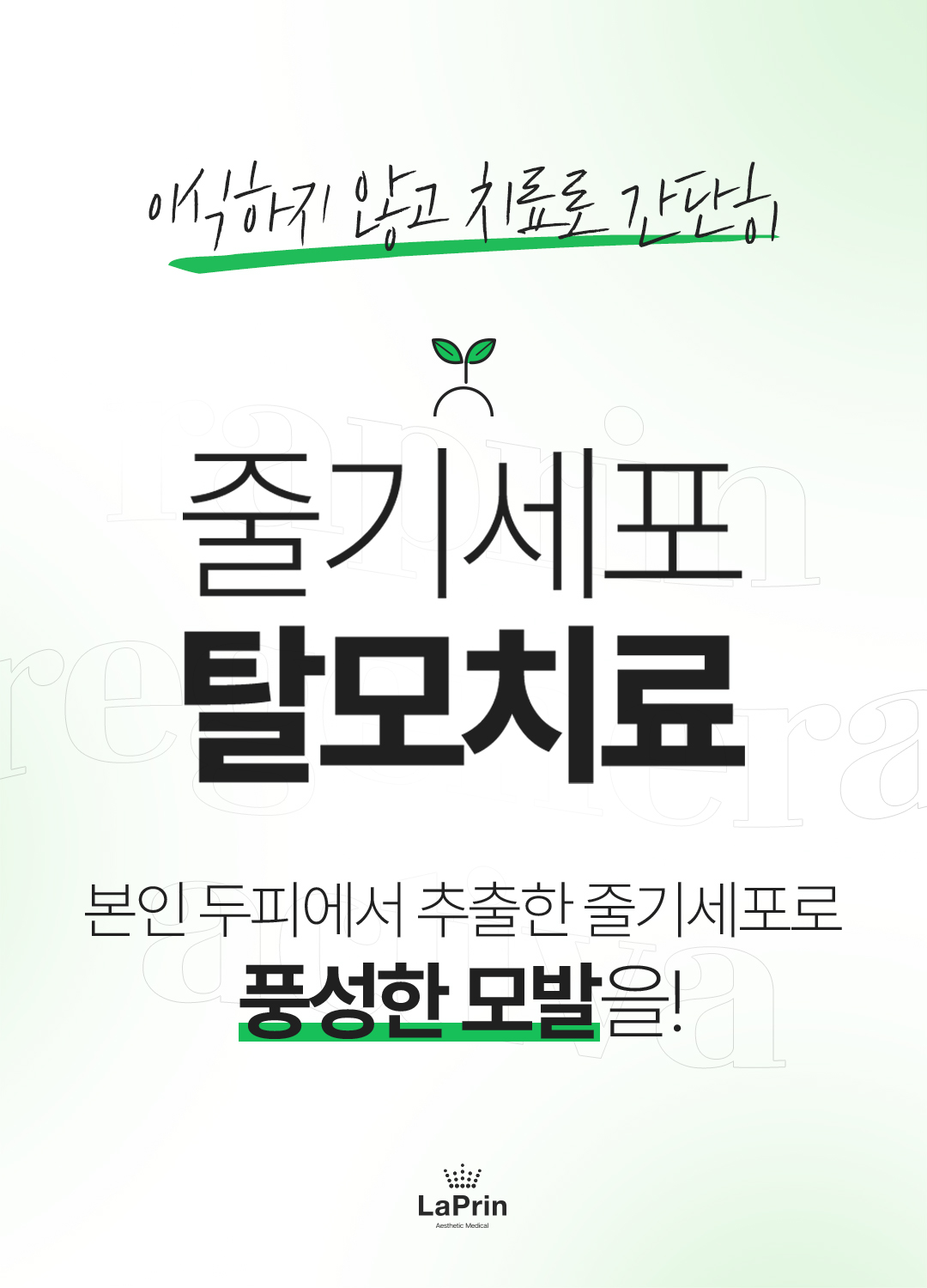 리제네라 줄기세포 탈모치료